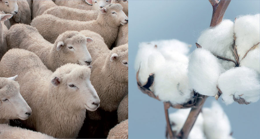 manifattura-falomo-materasso-lana-merinos-cotone