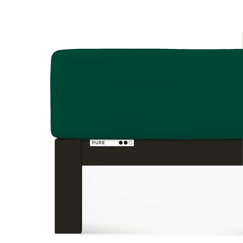 Lenzuolo inferiore jersey 50471 Schlafgut Pure 690 Green deep - verde scuro