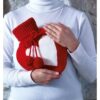 Borsa acqua calda reggio emilia rosso (2)