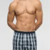Boxer in Popeline di Cotone vprt93466- Fantasia Check blu_04